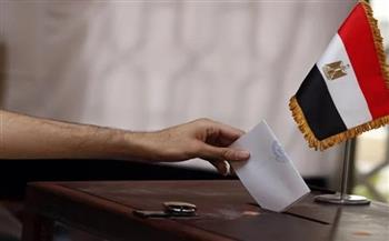 المصريون باليابان يواصلون الإدلاء بأصواتهم في الانتخابات الرئاسية
