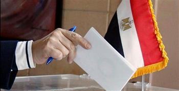 بدء تصويت الجالية المصرية بواشنطن ونيويورك في الانتخابات الرئاسية 2024