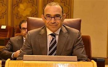 سفير مصر لدى ألمانيا: إقبال جيد في أول أيام التصويت بالانتخابات الرئاسية