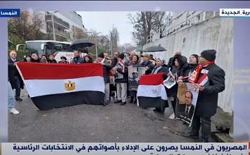 فيديو| الجالية المصرية بالنمسا تشارك في الانتخابات الرئاسية رغم برودة الطقس