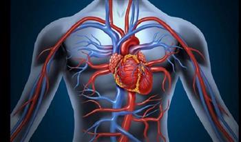 4 أعراض لمرض الشريان التاجي