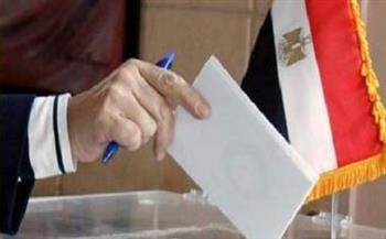قامات ورموز الفكر والسياسة يدعون للمصريين للتصويت في الانتخابات الرئاسية(فيديو)