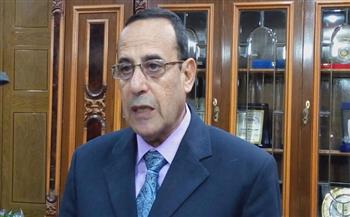 محافظ شمال سيناء لوفد مجلس الأمن: مصر أكبر داعم للقضية الفلسطينية