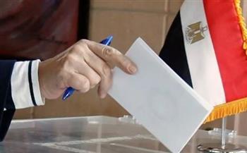 إشادة برلمانية أوروبية باصطفاف المصريين للمشاركة في الانتخابات الرئاسية