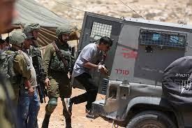 الاحتلال الإسرائيلي يعتقل 50 فلسطينيًا من الضفة الغربية 
