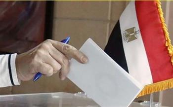 هشام عناني: خروج الأسر للتصويت يعكس دور المرأة المصرية في ممارسة حقها الدستوري