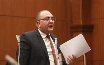 نائب عن المشاركة بكثافة في الانتخابات: الشعب وجه ضربة قاسمة للإخوان