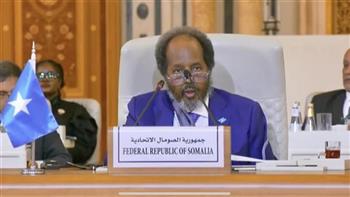 الرئيس الصومالي يؤكد أهمية التعاون الأمني على المستويين المحلي والدولي 