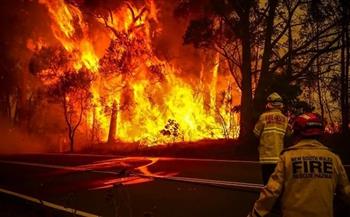 موجة شديدة الحرارة تجتاح أستراليا .. وتحذيرات من حرائق الغابات