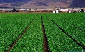 خبير يكشف خطة مصر التنموية في مجال الزراعة| فيديو