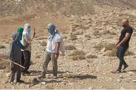 مستعمرون يهاجمون الفلسطينيين غرب أريحا