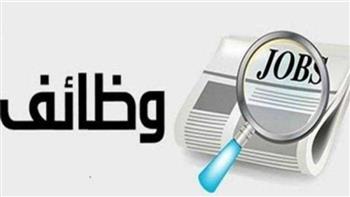 التقدم لوظائف شركة مياه الشرب بالقاهرة.. شروط التقديم للوظيفة والأوراق المطلوبة