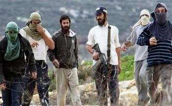 مستوطنون يهاجمون المواطنين الفلسطينيين غرب أريحا 
