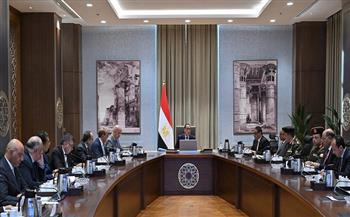 رئيس الوزراء يتابع الموقف التنفيذي لمشروع حماية شواطئ الإسكندرية