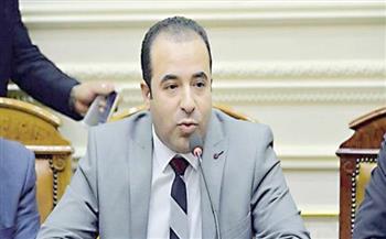 رئيس اتصالات البرلمان: فوز الرئيس السيسي يجسد رغبة المصريين في استكمال مسيرة التنمية 