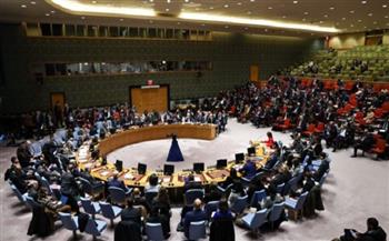 مجلس الأمن يوافق على الانسحاب المبكر لقوات حفظ السلام من الكونغو الديمقراطية