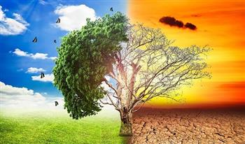 الاتحاد العربي للشباب والبيئة ينظم مؤتمرًا حول تأثير التغيرات المناخية.. فبراير المقبل