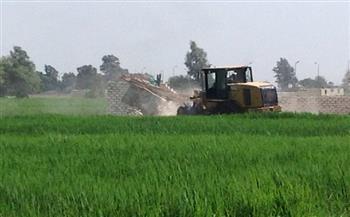 حملات مكبرة لإزالة التعديات على الأراضي الزراعية بالإسكندرية 