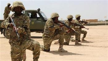 الجيش الصومالي يستهدف خلايا إرهابية 