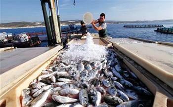 صلاح مصيلحي: الدولة تُصدّر 29 ألف طن من الأسماك سنويًا