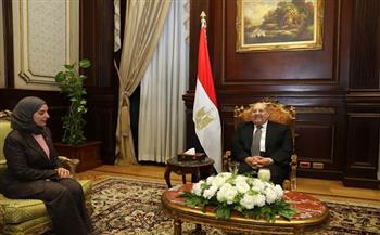رئيس مجلس الشيوخ يلتقي سفيرة البحرين بالقاهرة