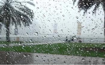 تحذيرات من الأمطار اليوم.. «الأرصاد» تكشف حالة الطقس| فيديو