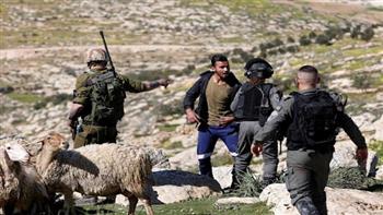 الاحتلال الإسرائيلي يعتدي على رعاة الأغنام جنوب الخليل