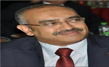 القنصل المصري في جدة: نتعاون مع «الوطنية للانتخابات» لتسهيل عملية التصويت