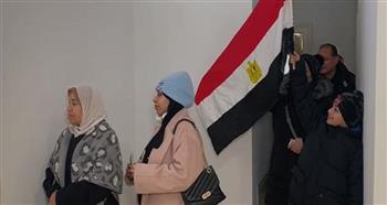 الجالية المصرية بالنمسا تشارك في انتخابات الرئاسة لليوم الثالث على التوالي