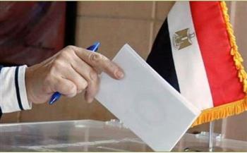 انتهاء تصويت المصريين في الهند باليوم الأخير للانتخابات الرئاسية بالخارج
