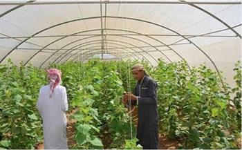 وزارة الزراعة تكشف أساليب الري والزراعة في سيناء| فيديو