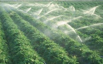 إكسترا نيوز تعرض تقرير لحصاد إنجازات الدولة بالزراعة 2023