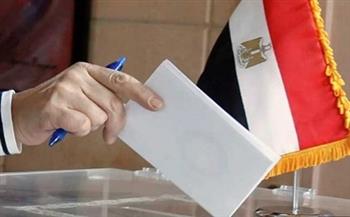 الاتحاد العام للمصريين في البحرين: الانتخابات الرئاسية كانت عُرسا مصريا