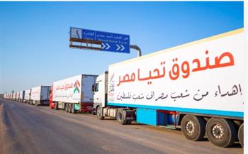 عبور 140 شاحنة مساعدات من معبر رفح لقطاع غزة
