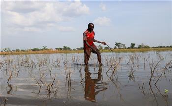 مسئول إفريقي: بلدان القارة السمراء بحاجة إلى 87 مليار دولار سنويا للتكيف مع المناخ