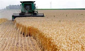 هيئة السلع التموينية تعلن عن ممارسة لشراء القمح من جميع المناشئ