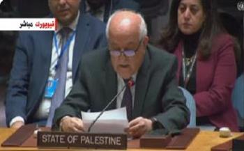 مندوب فلسطين: إسرائيل تقصف المناطق الآمنة في غزة