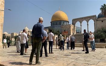 عشرات المستوطنين يقتحمون المسجد الأقصى واعتقال سبعة فلسطينيين