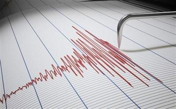 زلزالان يضربان جورجيا 