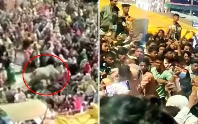 بسبب اللون الأحمر.. ثور يهاجم تجمّع ديني ويصيب 14 شخصًا بالهند (فيديو)