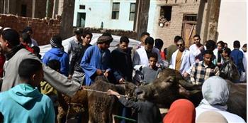 رئيس جامعة سوهاج: قافلة بيطرية مجانية لعلاج الثروة الحيوانية بقرية "الحواويش" بمركز أخميم