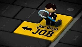 «القوى العاملة» تٌعلن عن 100 فرصة عمل لفتيات الإسكندرية براتب 4000 جنيه