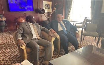 وزير الخارجية يبحث مع نظيره الكونغولي تعزيز التعاون بالمجالات كافة