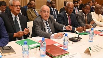 الجزائر تؤكد مواصلة مساعيها من أجل تجسيد اتفاق السلم والمصالحة في مالي