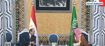 أستاذ علاقات دولية: مصر والسعودية هما القلب النابض للأمة العربية