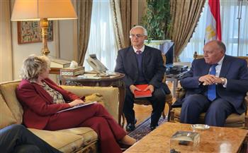 وزير الخارجية :  أهمية البناء على زخم العلاقات التاريخية بين مصر وإيطاليا