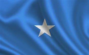 الصومال ونيجيريا يبحثان سبل تعزيز العلاقات الثنائية وجهود مكافحة الإرهاب