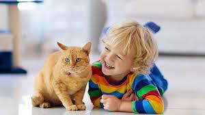 هاني الناظر: القطط والكلاب لديهم نفس الخطورة على نقل الأمراض المعدية للأطفال