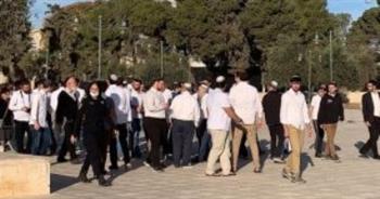 عشرات المستوطنين الإسرائيليين يقتحمون ساحات الأقصى في حماية شرطة الاحتلال