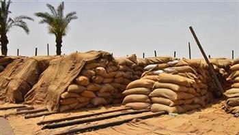 «المحاصيل الحقلية»: سعر الضمان لأردب القمح لن يقل عن 1250 جنيه.. ومن الوارد زيادته